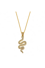 Load image into Gallery viewer, Snake Necklace
